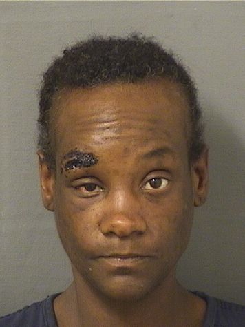  SHAVAUGHNTE CAPRIC HAYES Resultados de la busqueda para Palm Beach County Florida para  SHAVAUGHNTE CAPRIC HAYES