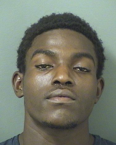  DONELL MOISE Results from Palm Beach County Florida for  DONELL MOISE