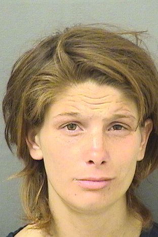  BRIANNA ELIZABETH TILLMAN Results from Palm Beach County Florida for  BRIANNA ELIZABETH TILLMAN