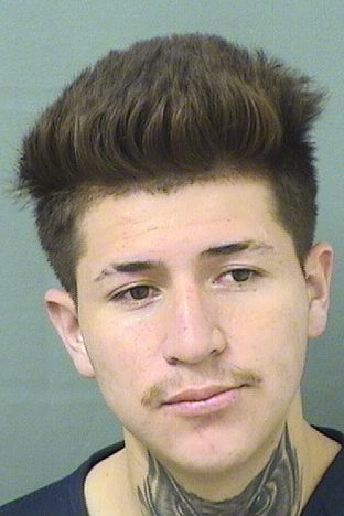  JORDAN VARGAS Results from Palm Beach County Florida for  JORDAN VARGAS