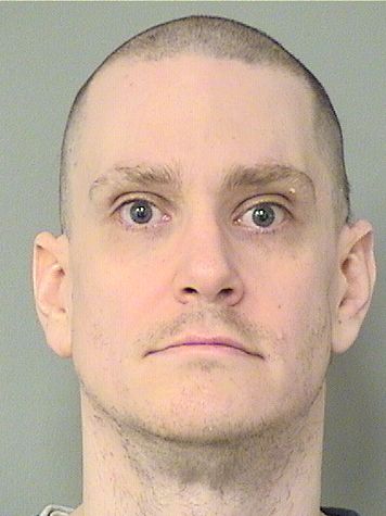  IAN DAVID HANN Results from Palm Beach County Florida for  IAN DAVID HANN