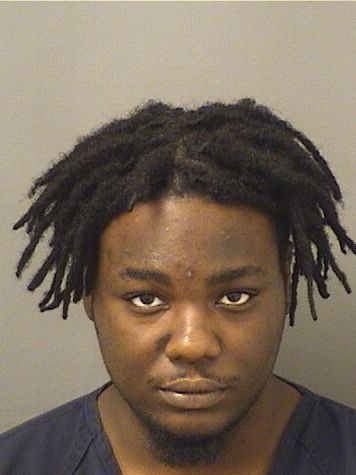  SEBASTIEN ROMULUS Results from Palm Beach County Florida for  SEBASTIEN ROMULUS