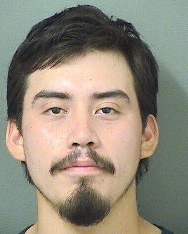  JESUS B PATINA Results from Palm Beach County Florida for  JESUS B PATINA