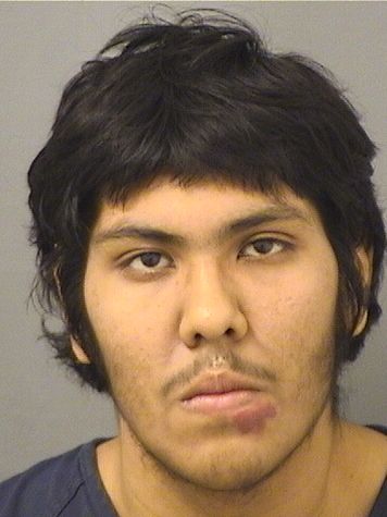  MARTIN MILLANMENDEZ Results from Palm Beach County Florida for  MARTIN MILLANMENDEZ