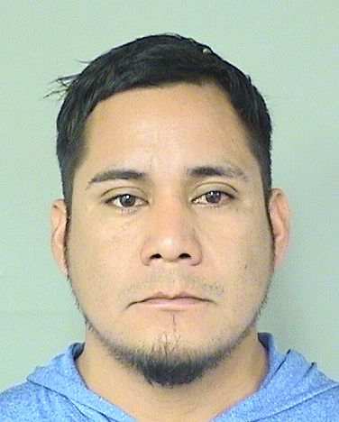  JULIO HERNANDEZ Results from Palm Beach County Florida for  JULIO HERNANDEZ