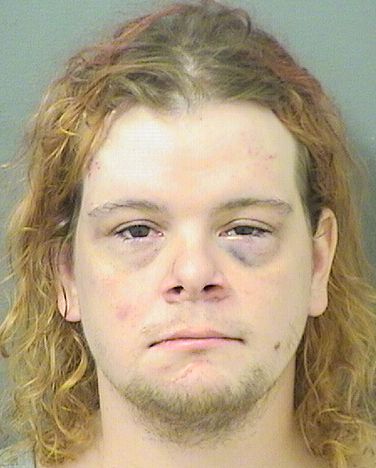  JESSE HARLEY PALMER Results from Palm Beach County Florida for  JESSE HARLEY PALMER