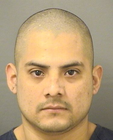  DANI DELEONMOLINA Resultados de la busqueda para Palm Beach County Florida para  DANI DELEONMOLINA