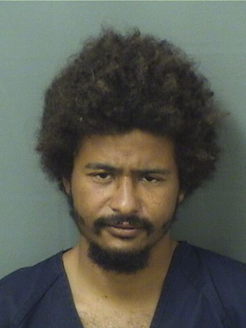  JONATHAN KYRESEBERNARD SPRINGER Results from Palm Beach County Florida for  JONATHAN KYRESEBERNARD SPRINGER