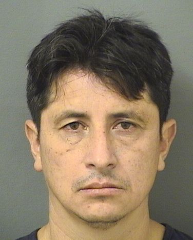  JOSEFREDY PINZON REYES Results from Palm Beach County Florida for  JOSEFREDY PINZON REYES