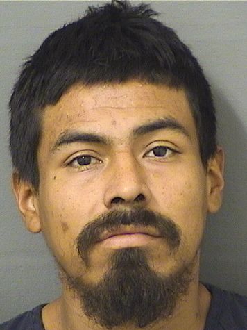  ELMER R RODRIGUEZ Resultados de la busqueda para Palm Beach County Florida para  ELMER R RODRIGUEZ