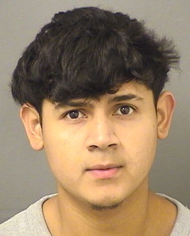  HENRY N ACOSTA SOTO Results from Palm Beach County Florida for  HENRY N ACOSTA SOTO