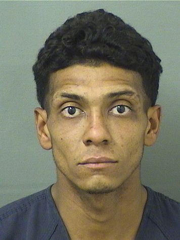  JERSON BUSTILLOTORRES Results from Palm Beach County Florida for  JERSON BUSTILLOTORRES