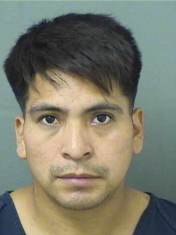  LUIS VELASQUEZCHILEL Results from Palm Beach County Florida for  LUIS VELASQUEZCHILEL