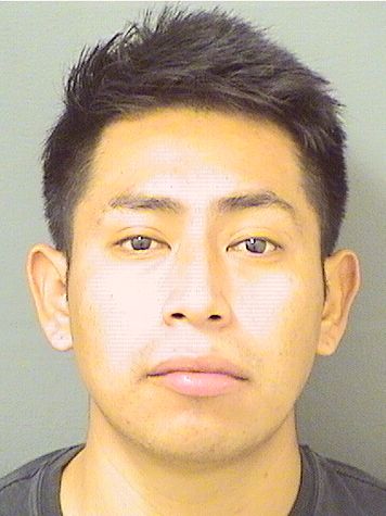  WILSON ERVIN MENDEZGODINEZ Results from Palm Beach County Florida for  WILSON ERVIN MENDEZGODINEZ