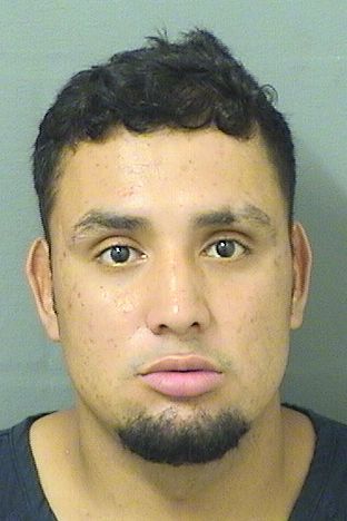  SELVIN ALEXANDER VLLIDA Results from Palm Beach County Florida for  SELVIN ALEXANDER VLLIDA