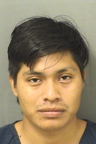  JUAN ALFREDO ORTIZPEREZ Resultados de la busqueda para Palm Beach County Florida para  JUAN ALFREDO ORTIZPEREZ