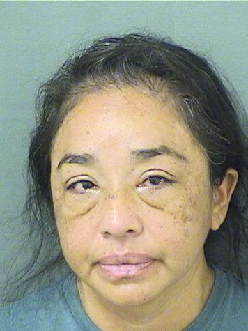  MILADY MAGDELY DELAPUENTE Results from Palm Beach County Florida for  MILADY MAGDELY DELAPUENTE