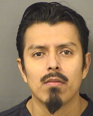  EFRAIN GONZALEZQUINTANA Results from Palm Beach County Florida for  EFRAIN GONZALEZQUINTANA