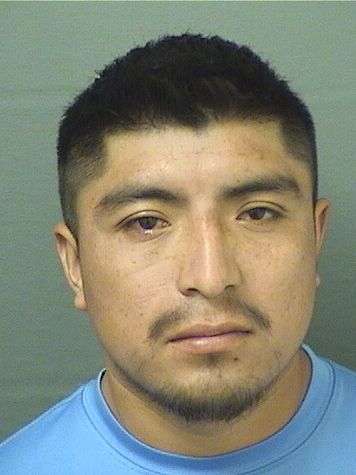  JOSE MARTIN GARCIAVASQUEZ Results from Palm Beach County Florida for  JOSE MARTIN GARCIAVASQUEZ