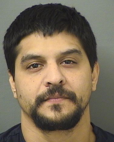  JOSEPH LORENZO Results from Palm Beach County Florida for  JOSEPH LORENZO