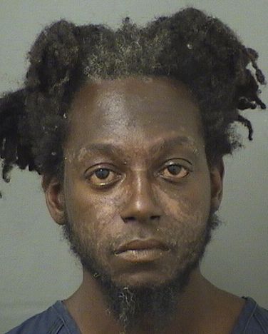  THEODORE BERNARD BROWN Results from Palm Beach County Florida for  THEODORE BERNARD BROWN