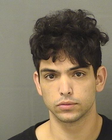  ORELVI PEREZDEPRADOFELIP Resultados de la busqueda para Palm Beach County Florida para  ORELVI PEREZDEPRADOFELIP