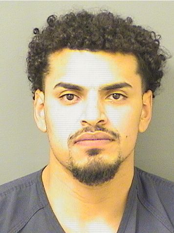  MANFFRED JESUS RUIZ Results from Palm Beach County Florida for  MANFFRED JESUS RUIZ