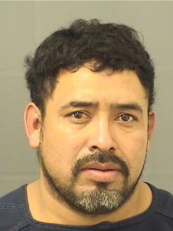  MARCELINO MORALESLUCAS Resultados de la busqueda para Palm Beach County Florida para  MARCELINO MORALESLUCAS