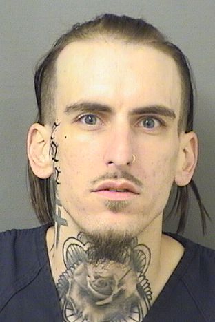  CAMRON MICHAEL SNODGRESS Resultados de la busqueda para Palm Beach County Florida para  CAMRON MICHAEL SNODGRESS