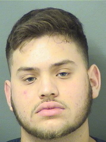 DANTE FORIERE Results from Palm Beach County Florida for DANTE FORIERE DANTE FORIERE Results from Palm Beach County Florida for DANTE FORIERE