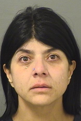  YELITZA IRIZARRY Photo For  YELITZA IRIZARRY