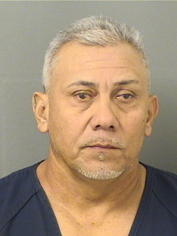  LUIS ALONZO BOLANOSGUILLEN Results from Palm Beach County Florida for  LUIS ALONZO BOLANOSGUILLEN