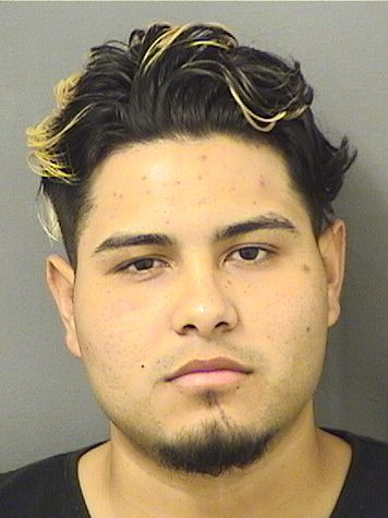  ARNOLD J PERDOMOGUTIERREZ Results from Palm Beach County Florida for  ARNOLD J PERDOMOGUTIERREZ