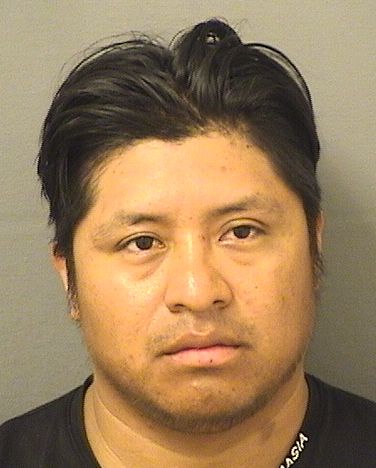  RAMON BERNABEGASPAR Results from Palm Beach County Florida for  RAMON BERNABEGASPAR