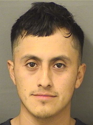  TIMOTEO NAFTALY ALVARADOVELASQUEZ Results from Palm Beach County Florida for  TIMOTEO NAFTALY ALVARADOVELASQUEZ