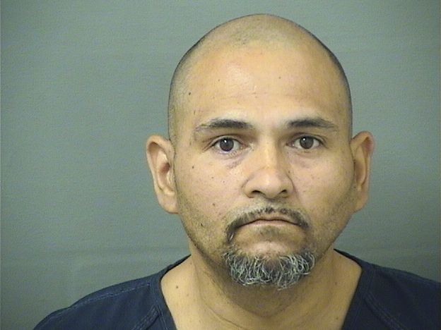  JOSE LUIS RODRIGUEZ Results from Palm Beach County Florida for  JOSE LUIS RODRIGUEZ