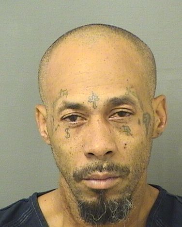 MARKO ROBERT CLINTON Photos For  MARKO ROBERT CLINTON  MARKO ROBERT CLINTON Photo For  MARKO ROBERT CLINTON