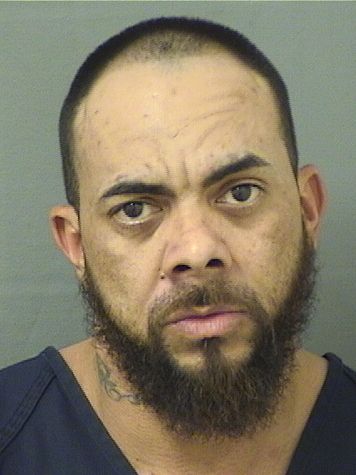  ENRIQUE LOPEZ ORTEGA Results from Palm Beach County Florida for  ENRIQUE LOPEZ ORTEGA