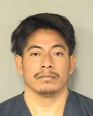  EQUICELDO GABRIELBERNARDO Resultados de la busqueda para Palm Beach County Florida para  EQUICELDO GABRIELBERNARDO