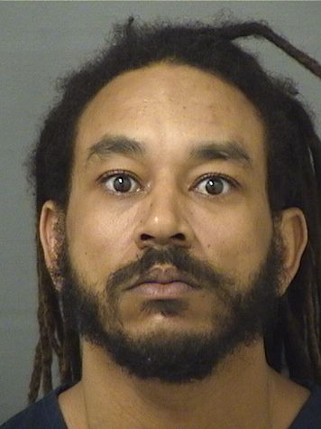  IVAN MICHAEL FINDLEY Results from Palm Beach County Florida for  IVAN MICHAEL FINDLEY