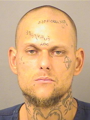  BRANDON PAUL HARRIS Resultados de la busqueda para Palm Beach County Florida para  BRANDON PAUL HARRIS