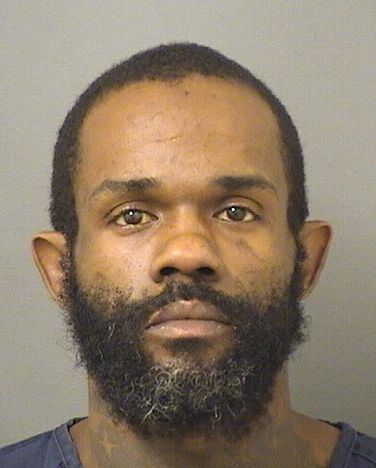  ERNEST LAMARR Jr JACKSON Results from Palm Beach County Florida for  ERNEST LAMARR Jr JACKSON