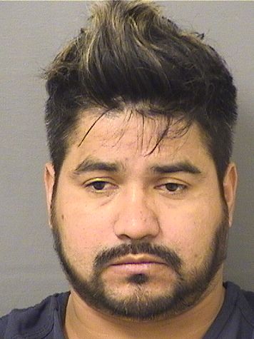  DEMIS OSIEL VELASQUEZ Results from Palm Beach County Florida for  DEMIS OSIEL VELASQUEZ