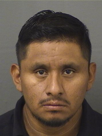  MATEO RAYMUNDO PEDROSALVADOR Results from Palm Beach County Florida for  MATEO RAYMUNDO PEDROSALVADOR