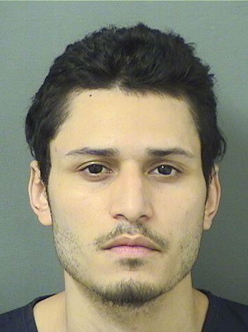  MARC ANTHONY MEJIAS Results from Palm Beach County Florida for  MARC ANTHONY MEJIAS