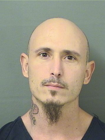  ALEXIS VALDES Results from Palm Beach County Florida for  ALEXIS VALDES