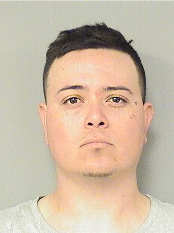  ANDRES FONSECA HERNANDEZ Results from Palm Beach County Florida for  ANDRES FONSECA HERNANDEZ