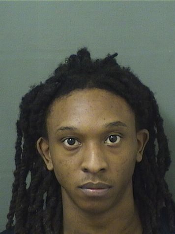  MICHAEL DELONE Jr MCCLENDON Results from Palm Beach County Florida for  MICHAEL DELONE Jr MCCLENDON