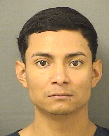  BRENDY CISNEROSMERINO Photo