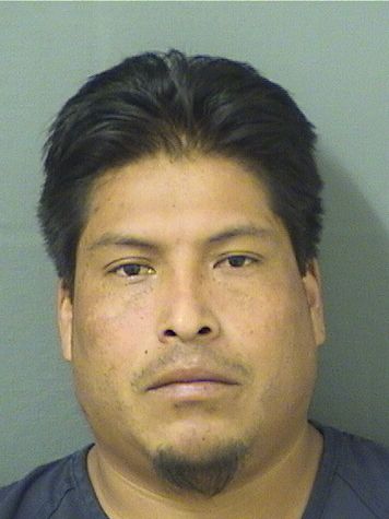  ANIBEL MORALES Results from Palm Beach County Florida for  ANIBEL MORALES